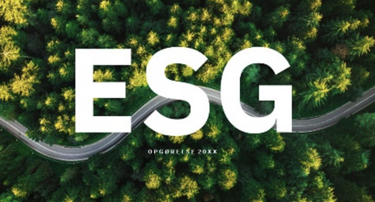 Skabelon Til ESG rapport Fra Virksomhedsguiden ESGSor 